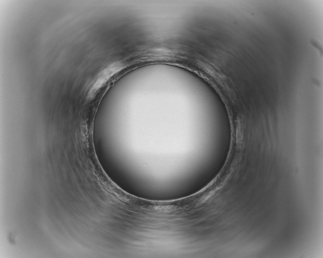 X0000100911453200807011232