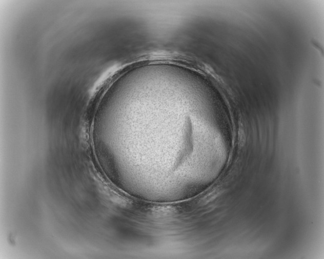 X0000100911454200807011232