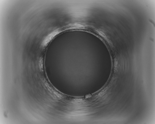 X0000100911455200807011232