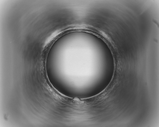 X0000100911456200807011232