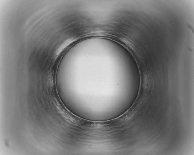 X0000100911458200807011232