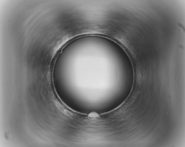 X0000100911460200807011232