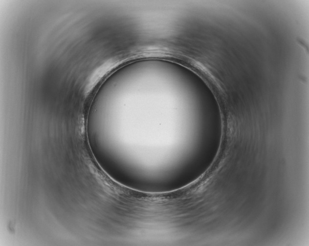 X0000100911461200807011232