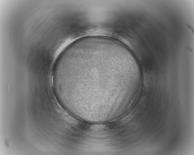 X0000100911462200807011232