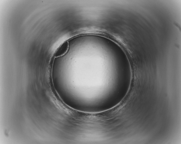 X0000100911463200807011232