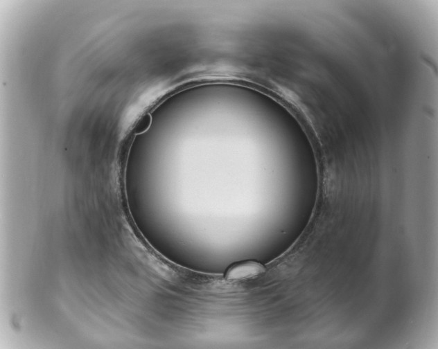 X0000100911464200807011232