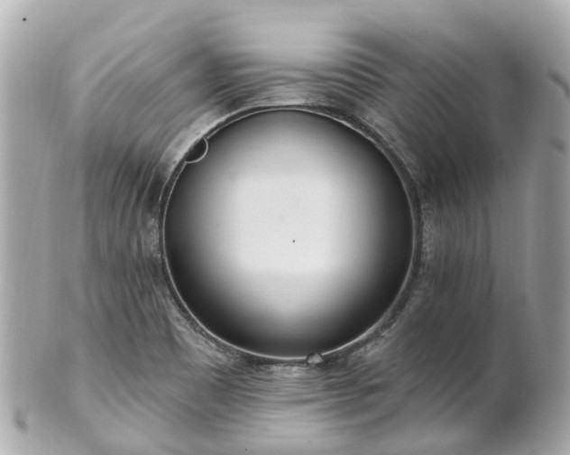X0000100911465200807011232