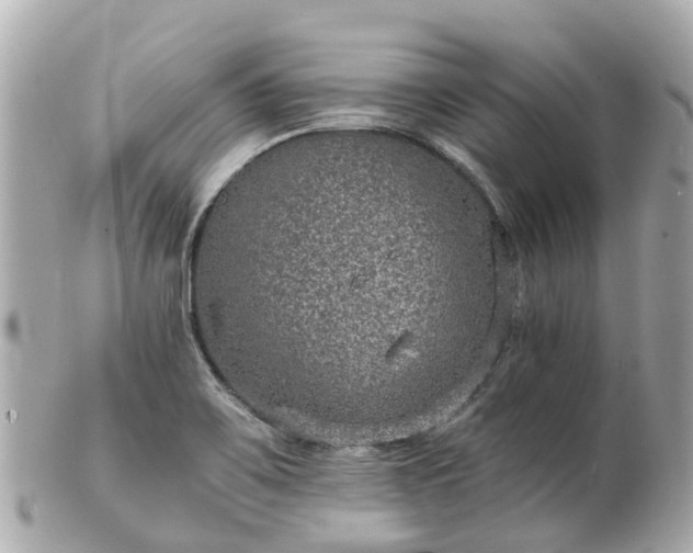 X0000100911467200807011232