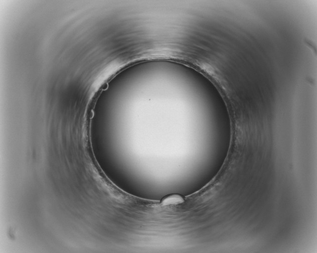 X0000100911469200807011232