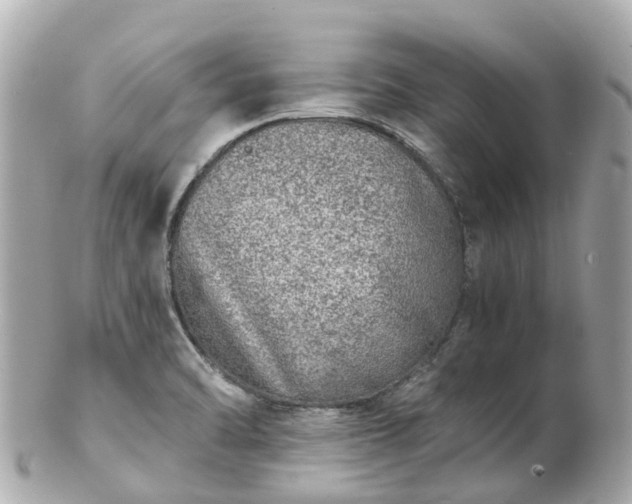 X0000100911470200807011232