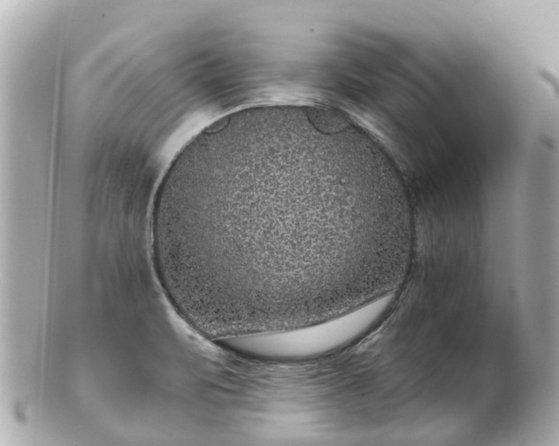 X0000100911471200807011232