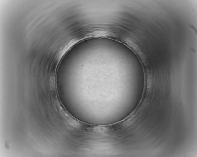 X0000100911473200807011232