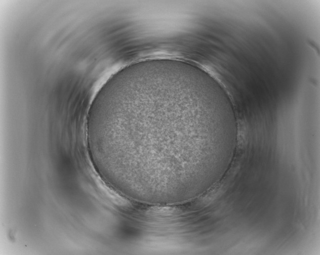 X0000100911474200807011232