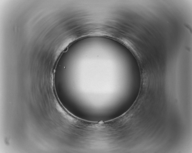 X0000100911476200807011232