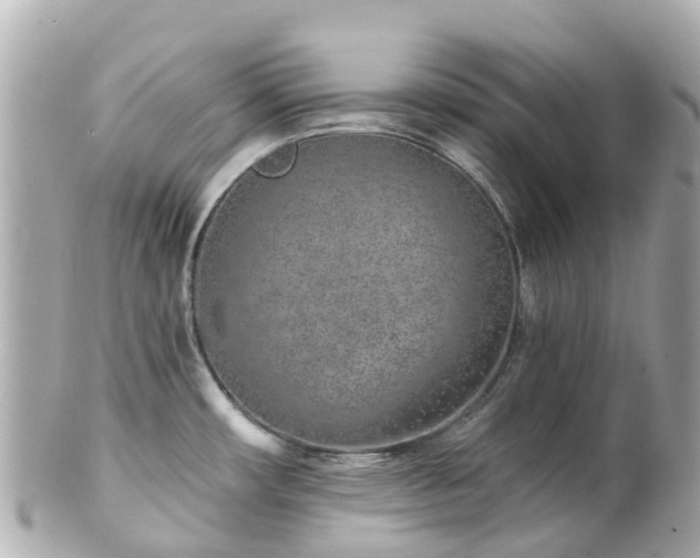 X0000100911482200807011232