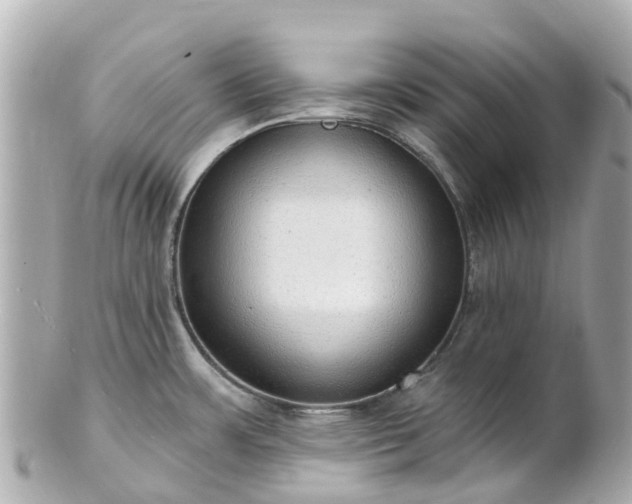 X0000100911483200807011232