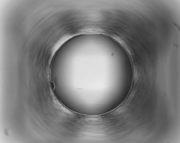 X0000100911486200807011232