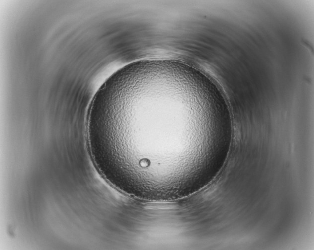X0000100911487200807011232