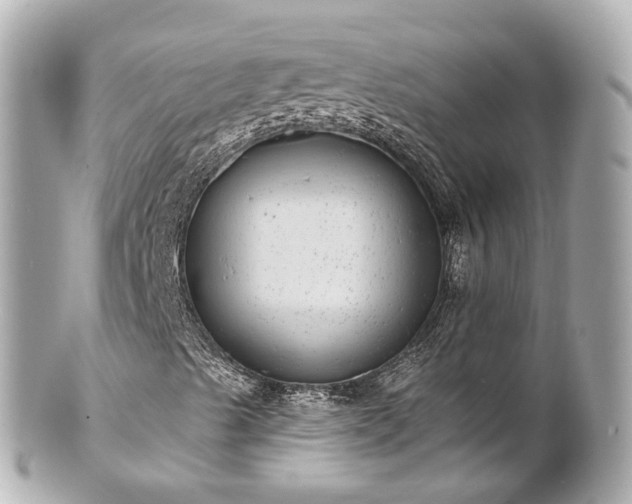 X0000100911489200807011231