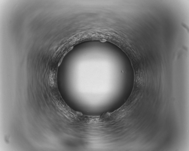 X0000100911490200807011231