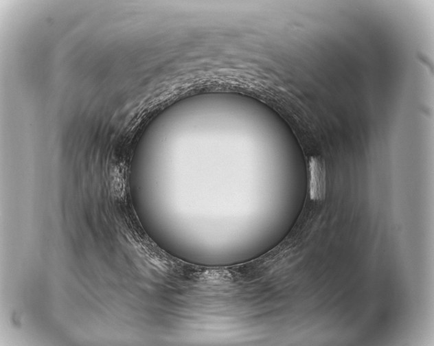 X0000100911491200807011231