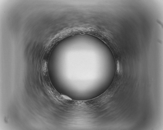 X0000100911492200807011231