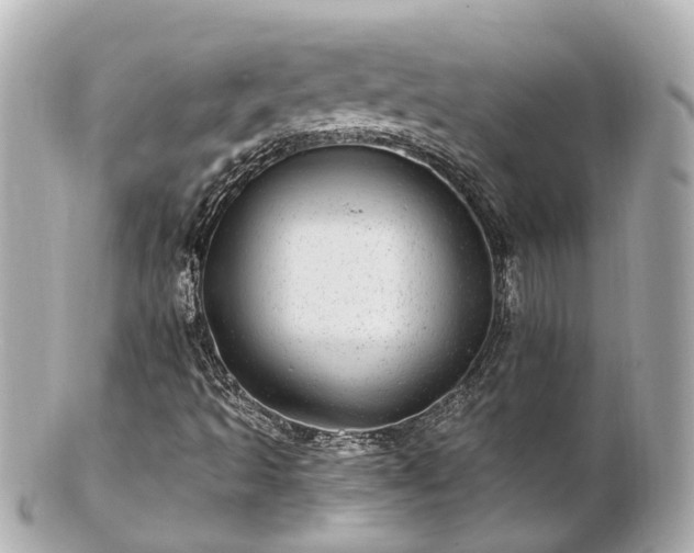 X0000100911493200807011231