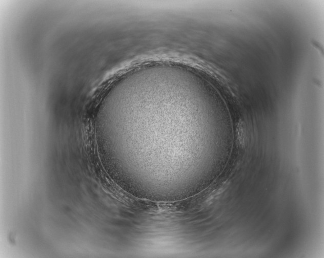 X0000100911494200807011231