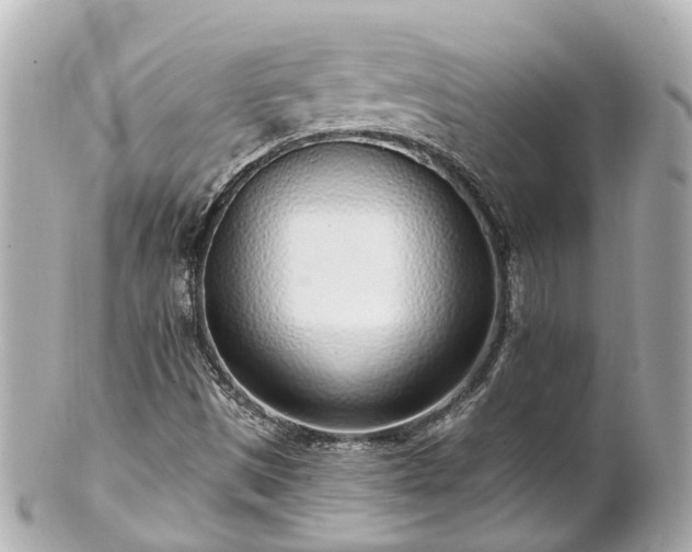 X0000100911497200807011231