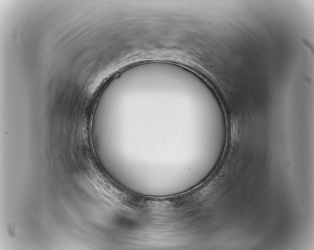 X0000100911498200807011231