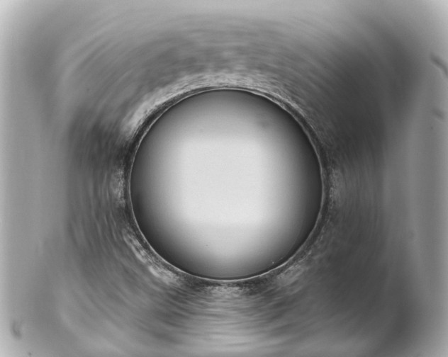 X0000100911499200807011231