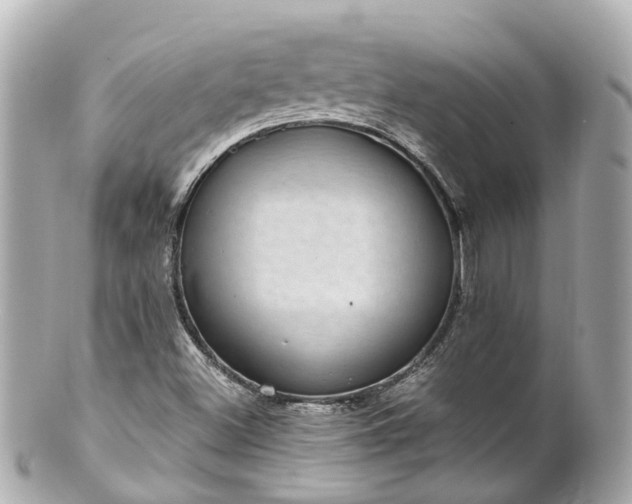 X0000100911500200807011231