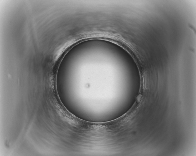 X0000100911501200807011231