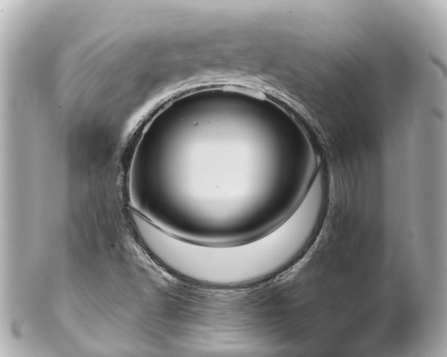 X0000100911502200807011231