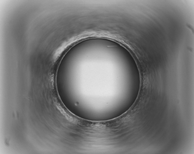 X0000100911503200807011231