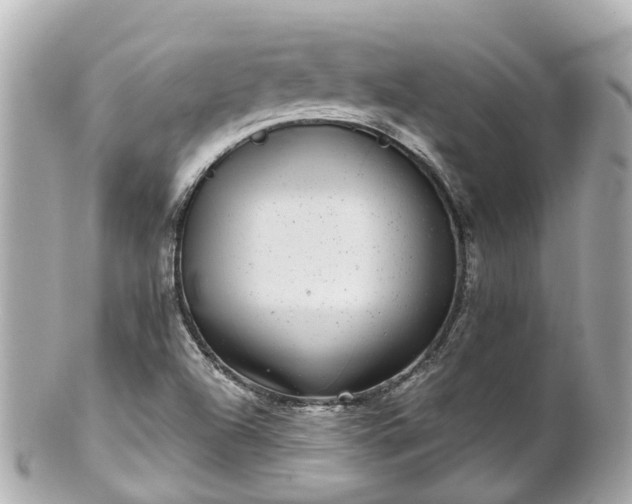 X0000100911504200807011231