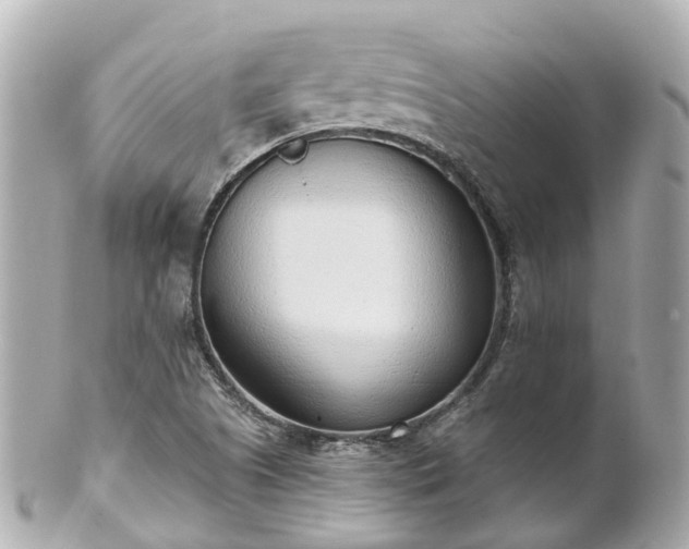 X0000100911505200807011231