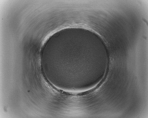 X0000100911506200807011231