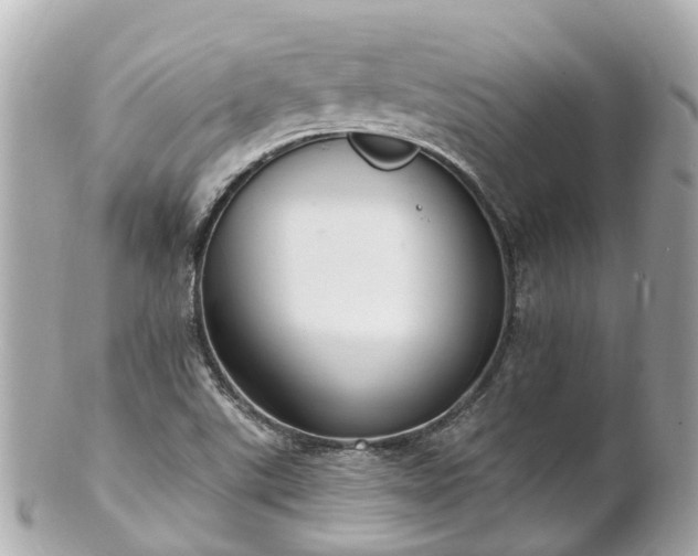 X0000100911507200807011231