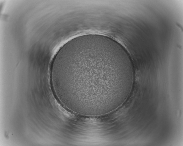 X0000100911508200807011231