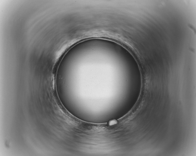 X0000100911509200807011231