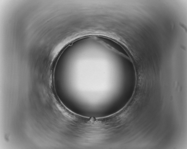 X0000100911511200807011231