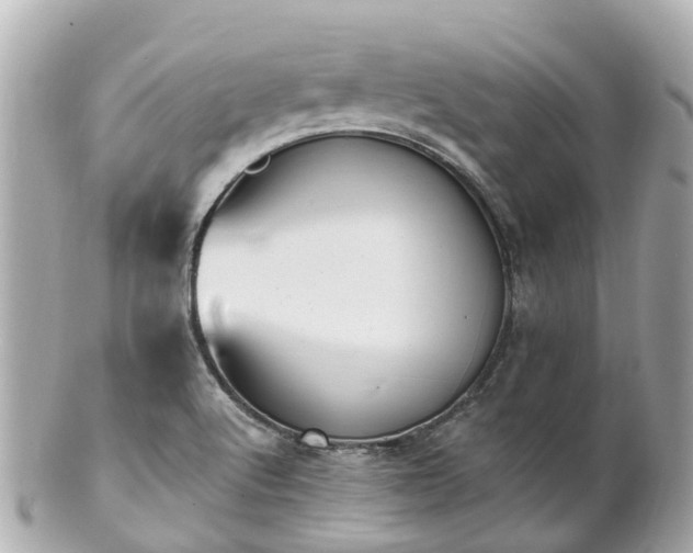 X0000100911512200807011231