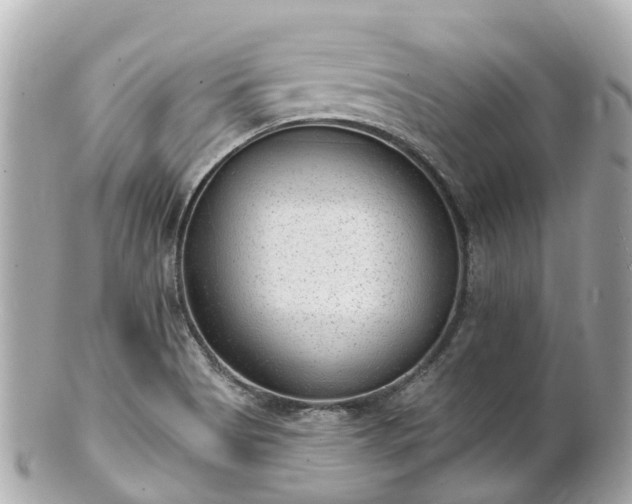X0000100911513200807011231