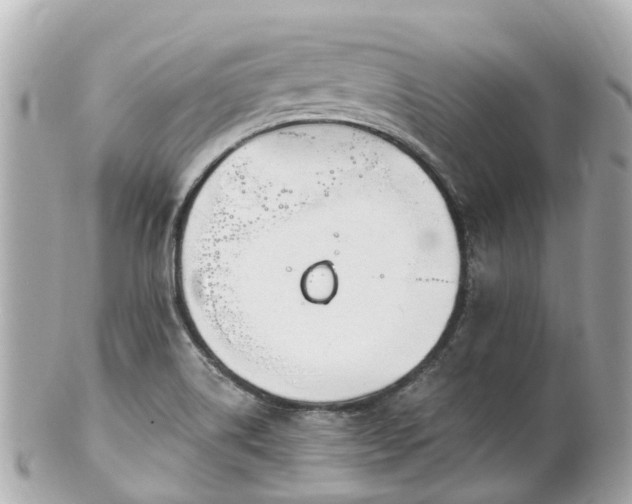 X0000100911514200807011231