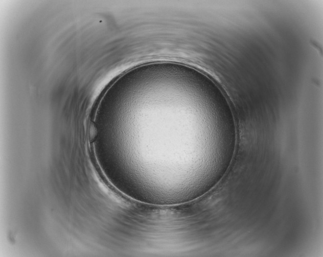 X0000100911515200807011231
