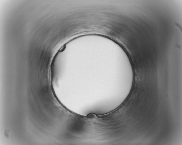 X0000100911516200807011231