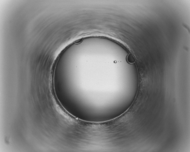 X0000100911518200807011231