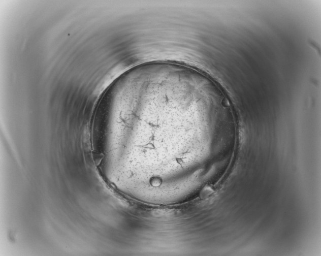 X0000100911521200807011232