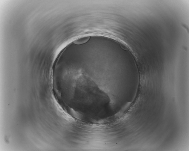 X0000100911522200807011232